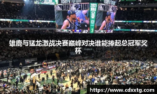 雄鹿与猛龙激战决赛巅峰对决谁能捧起总冠军奖杯